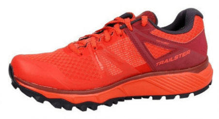 Salomon Salomon - Кроссовки для трейлраннинга женские Trailster Gtx W