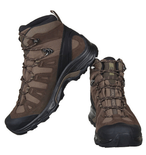 Salomon Salomon - Ботинки удобные демисезонные Shoes Quest Prime GTX