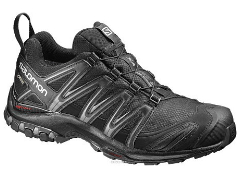 Salomon Salomon - Кроссовки для треннинга удобные Shoes XA Pro 3D GTX