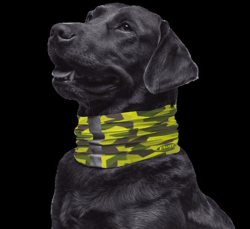 Buff Бандана снуд Buff - Dog R-Block Camo Green