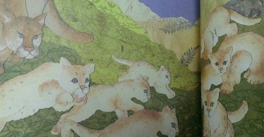 Качели Книга с картинками Кто живет в горах Прочитай и сосчитай М.Беркес " . "