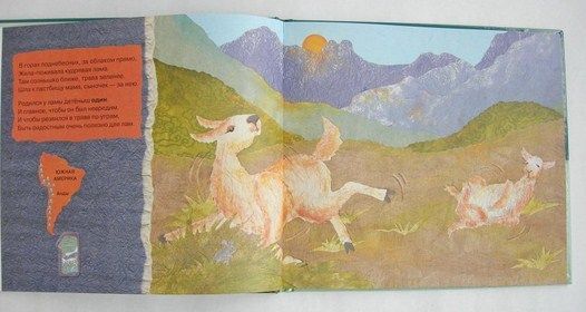 Качели Книга с картинками Кто живет в горах Прочитай и сосчитай М.Беркес " . "