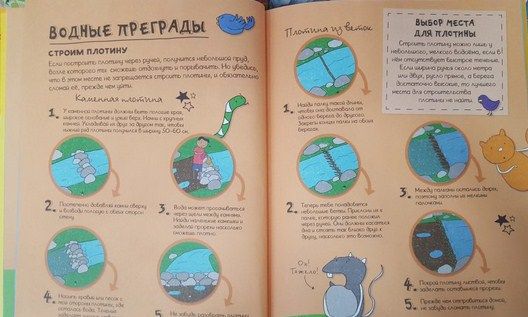 АСТ Книга познавательная Энциклопедия выживания в лесу без компьютера и телефона К.Окслейд " "