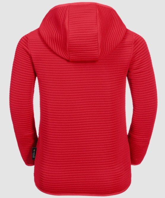 Jack Wolfskin Стильный худи Jack Wolfskin Modesto Hoody Kids