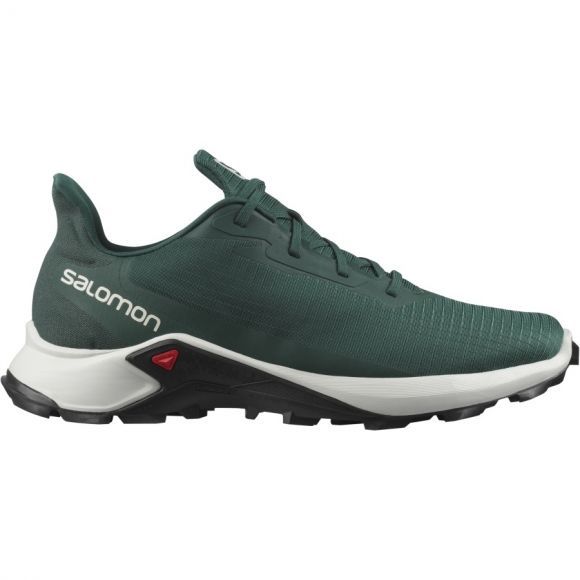 Salomon Спортивные кроссовки Salomon Alphacross 3