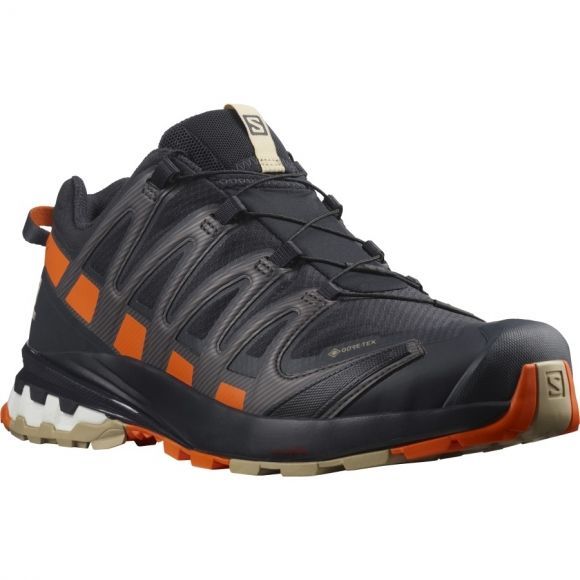 Salomon Спортивные кроссовки мужские Salomon XA Pro 3D v8 GTX