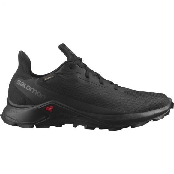 Salomon Кроссовки мужские для спорта Salomon Alphacross 3 GTX