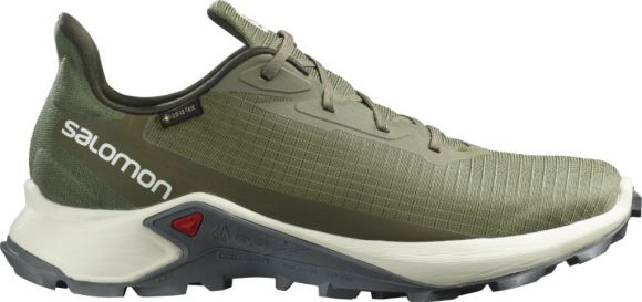 Salomon Спортивные кроссовки Salomon Alphacross 3 GTX