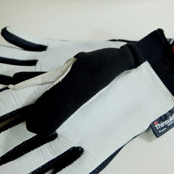 Rex Перчатки лыжника Rex Thermo Plus Glove (17-18)