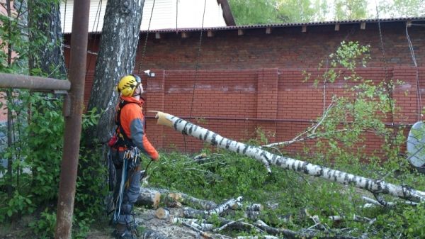 Petzl Качественный защитный щиток Petzl Vizir