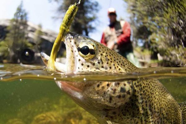 На рыбалку!