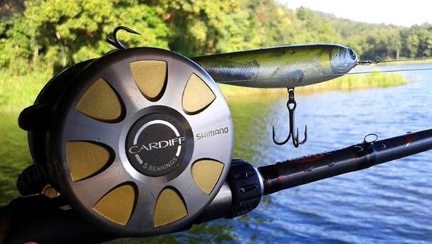 Shimano Катушка мультипликаторная Shimano Cardiff 201A