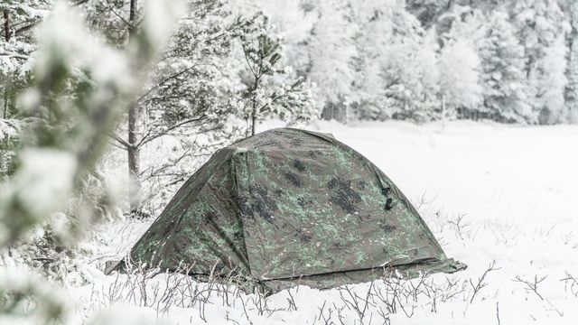 Talberg Туристическая палатка Forest Pro 2 Talberg
