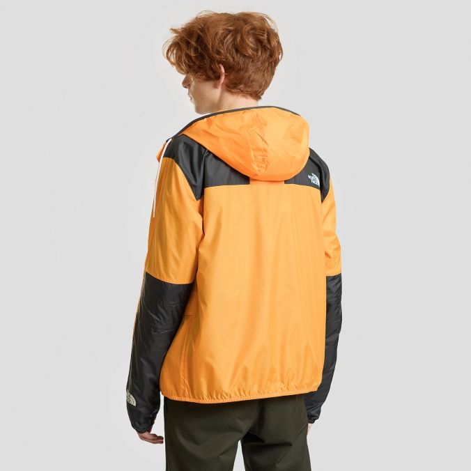 The North Face Куртка мужская в стиле ретро The North Face 1985 Seasonal Mountain