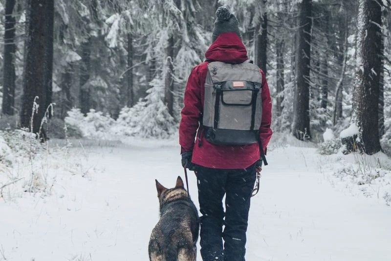 HUSKY Вместительный рюкзак Husky Robber 25
