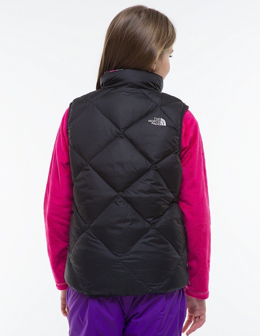 The North Face Жилет для девочки The North face Girls Reversible Moondoggy Vest