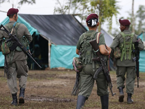 Повстанцы FARC в Колумбии станут отельерами