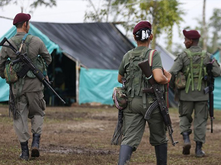 Повстанцы FARC в Колумбии станут отельерами