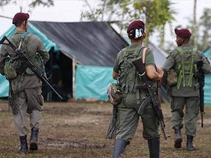 Повстанцы FARC в Колумбии станут отельерами Повстанцы FARC в Колумбии станут отельерами